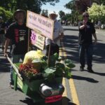 June 2016 Down the OB Tea Party parade route with Rod, Peter and Jason - Manic Monday and Monday Monday playing on the ghetto blaster.